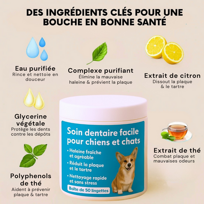 Dentipet™ – Lingettes hygiène dentaire animale