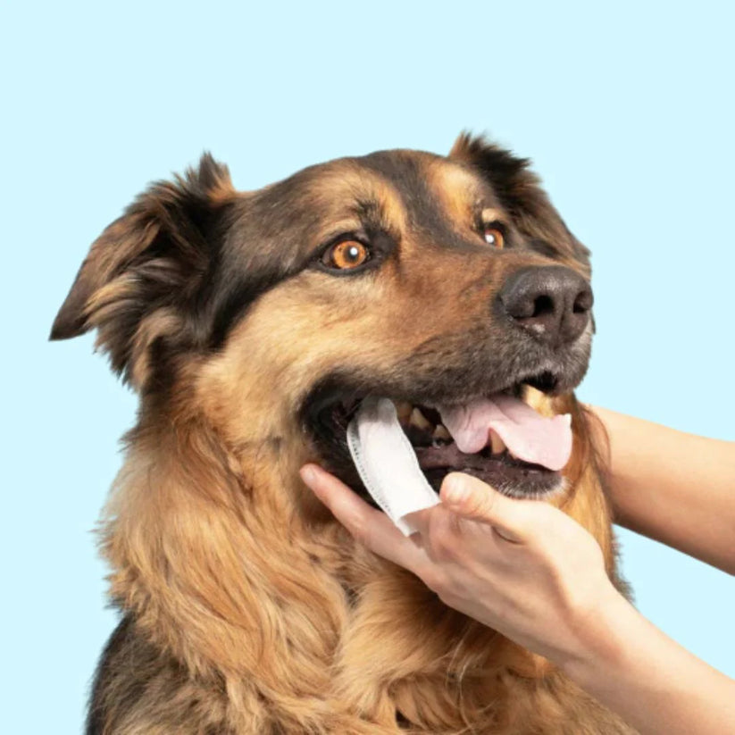 Dentipet™ – Lingettes hygiène dentaire animale