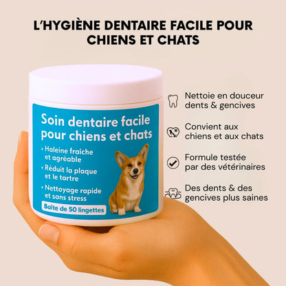 Dentipet™ – Lingettes hygiène dentaire animale